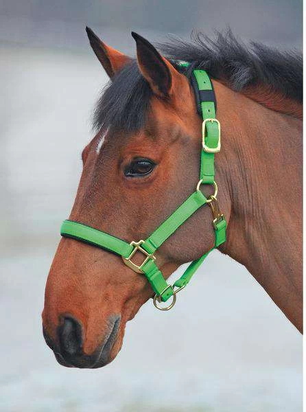 Shires Topaz Leather Breakaway Nylon Halter - Image 3