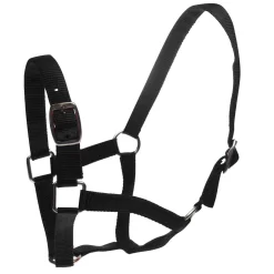 Roma Headcollar & Lead Set