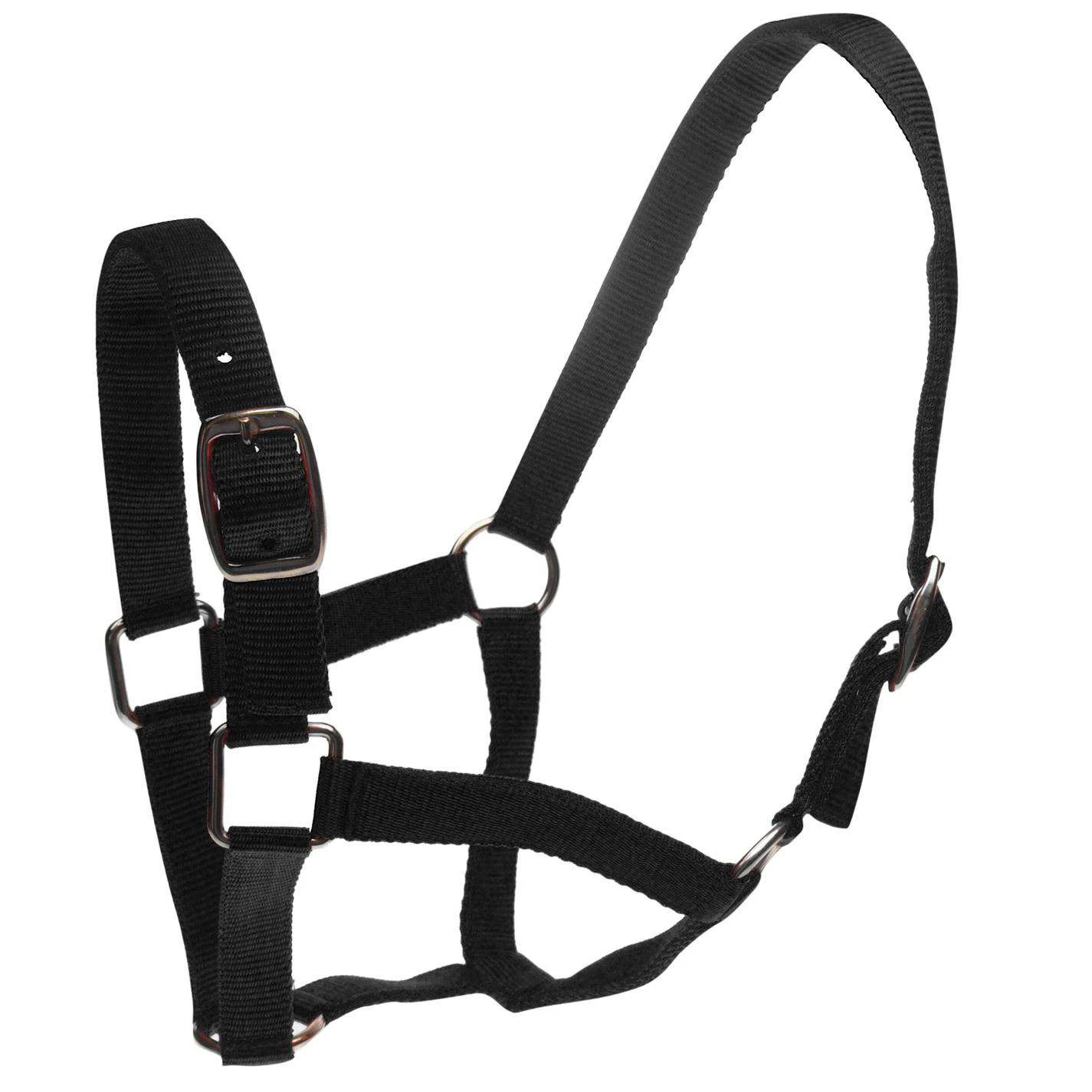 Roma Headcollar & Lead Set