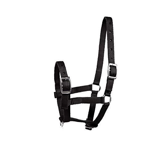 Horze Foal Halter - Image 3