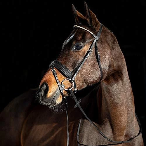 Horze Lester Snaffle Bridle