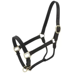 Royal King Leather Stable Halter