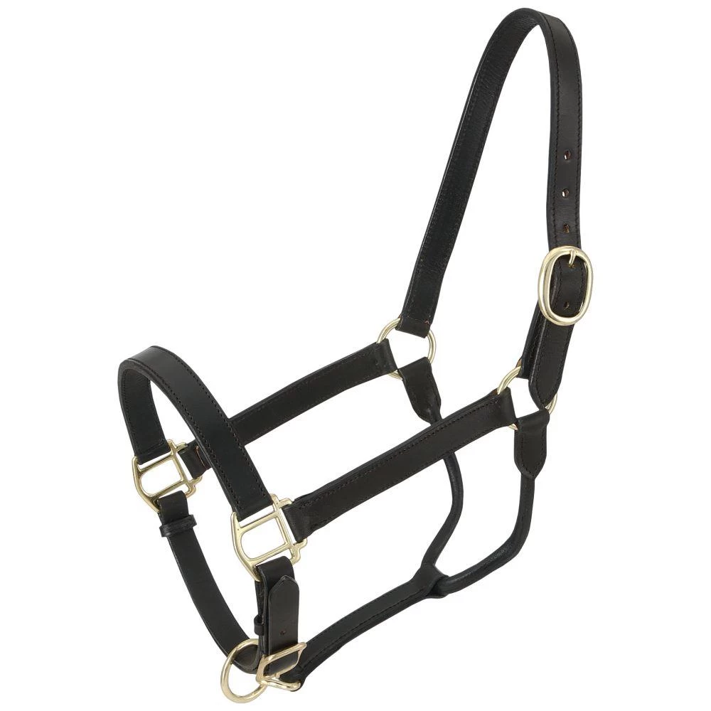 Royal King Leather Stable Halter