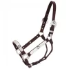 Royal King Black Star Silver Show Halter