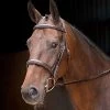 Shires Rossano Florence Bridle