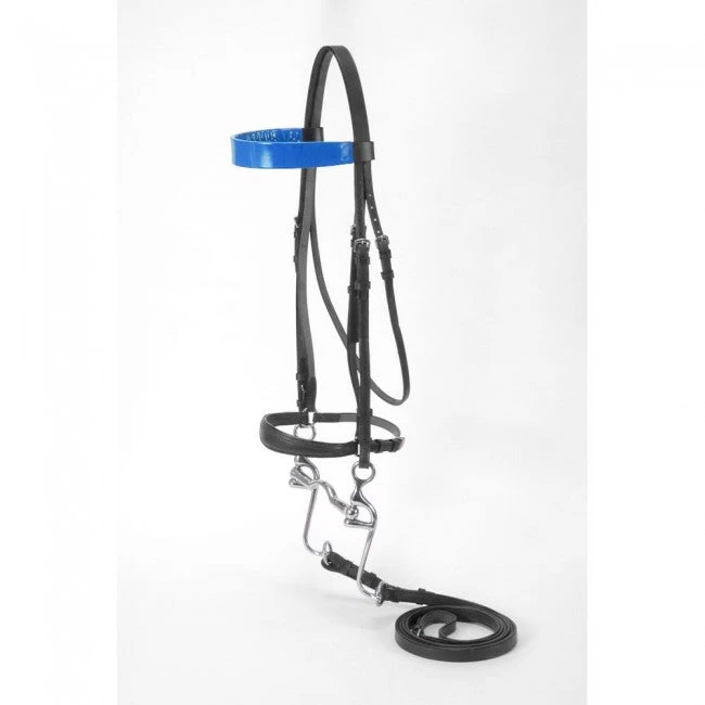 Silver Fox Walking Horse Bridle - Image 2