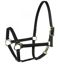Finn-Tack Beta Yankee Halter