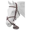 Premium Padded Fancy Stitched Raised Figure Eight English Bridle
