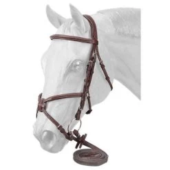Premium Padded Fancy Stitched Raised Figure Eight English Bridle