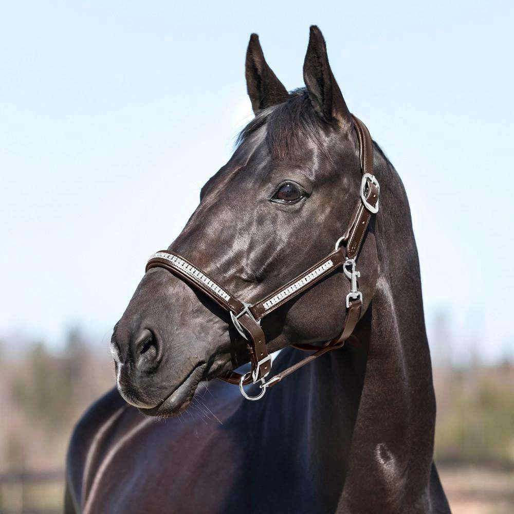 Horze Cheyenne Leather Halter - Image 2