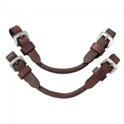 EquiRoyal Bit Converter