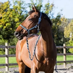 Horze Arturo Halter And Lead Set