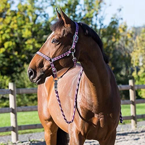 Horze Arturo Halter And Lead Set - Image 4