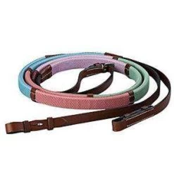 Kincade Pastel Rainbow Reins