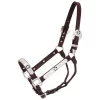 Royal King Star Silver Show Halter