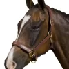 Collegiate Deluxe Padded Breakaway Headcollar