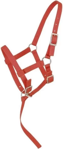 Tough 1 Adjustable Suckling Halter