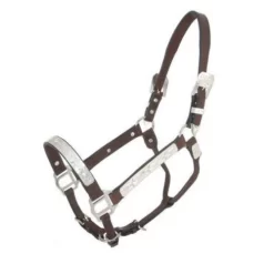 Royal King Raised Star Show Halter