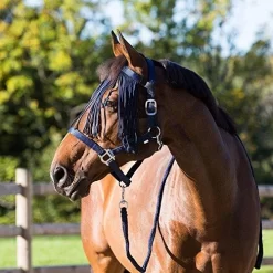 Horze Dominic Halter, Lead And Fly Veil Set