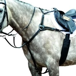 Collegiate Essential 5-Point Breastplate