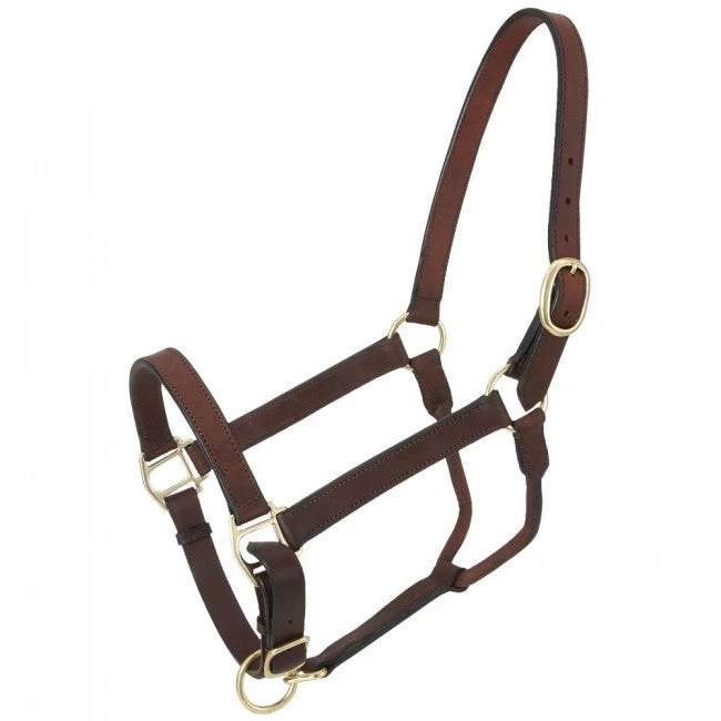 Royal King Leather Stable Halter - Image 2