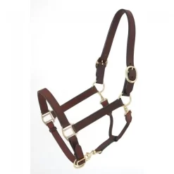 Royal King Stable/Grooming Halter