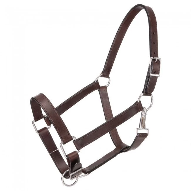Royal King Draft Horse Stable Halter - Image 2