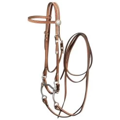 Silver Royal Brow Bridle