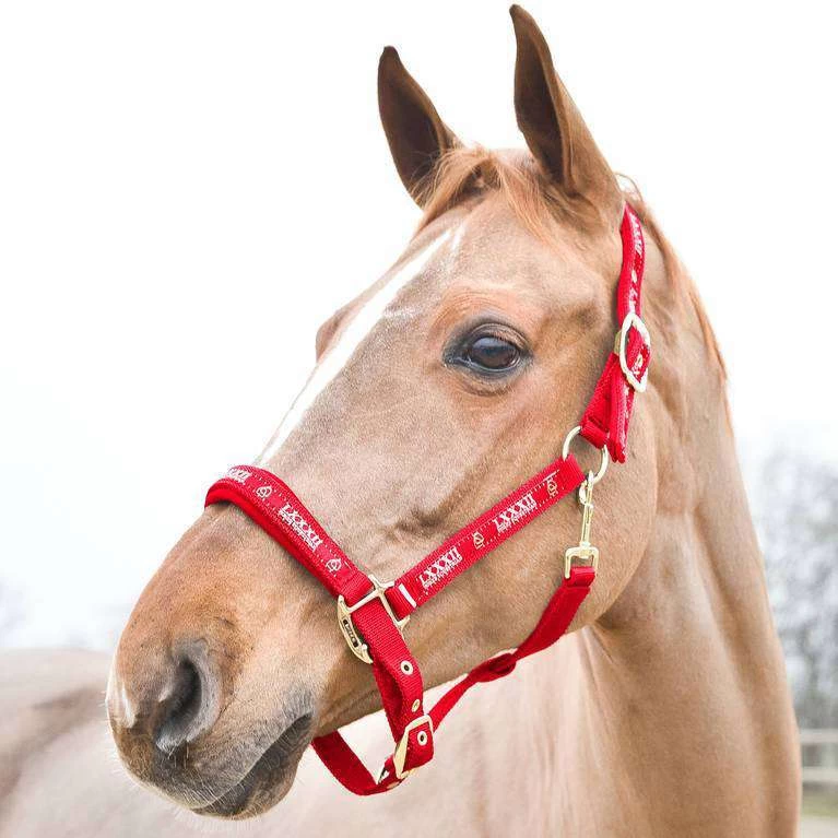 Horze Hamptons Halter - Image 8