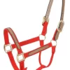 Tough 1 6 Pack Miniature Nylon Breakaway Halters
