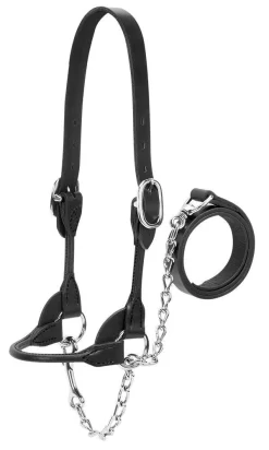 Weaver Leather Livestock Dairy/Beef Rounded Show Halter