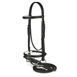 Passport Raised And Padded Bridle With Flash