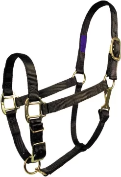 Fabtron Comfort Fit Adjustable 1" Nylon Halter