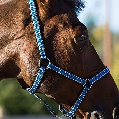 Horze Arturo Halter And Lead Set - Image 2