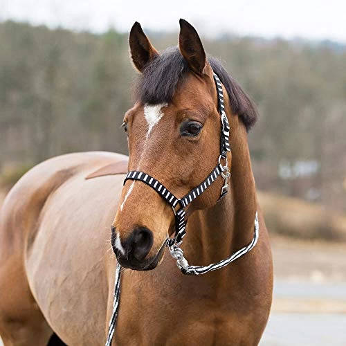 Horze Arturo Halter And Lead Set - Image 6