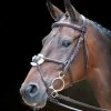 Shires Rossano Venice Bridle