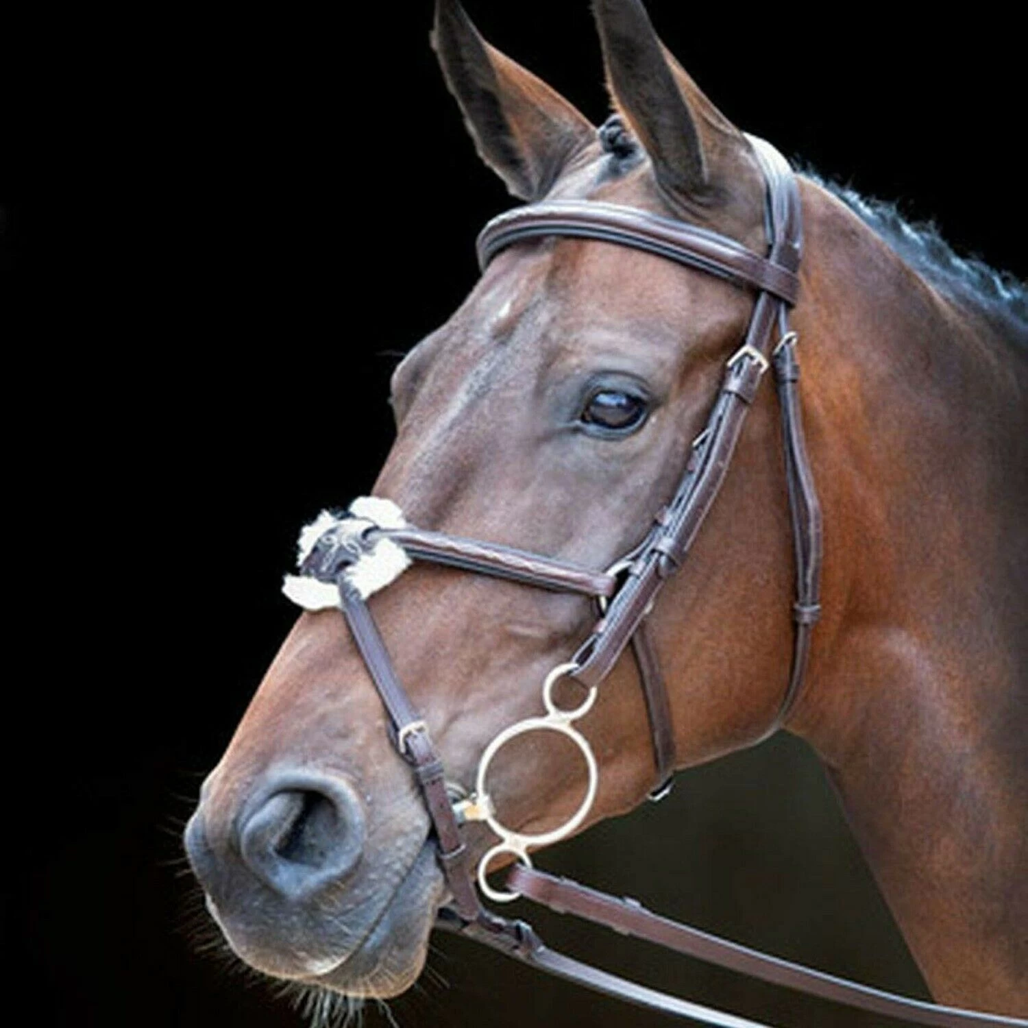 Shires Rossano Venice Bridle
