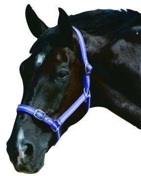 Roma Headcollar & Lead Set - Image 2