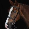 Collegiate Comfort Crown Fancy Stitched Raised Cavesson Bridle