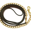 Collegiate Brass Chain Lead