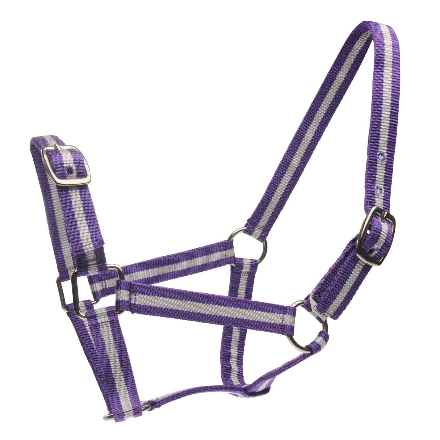 Roma Headcollar & Lead Set - Image 4