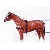 Tough 1 Leather Horse Harness