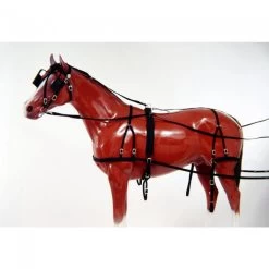 Tough 1 Nylon Harness