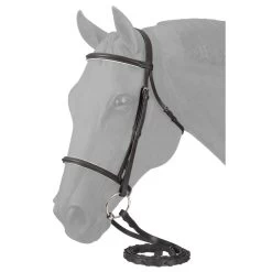 EquiRoyal Padded Noseband Snaffle Bridle