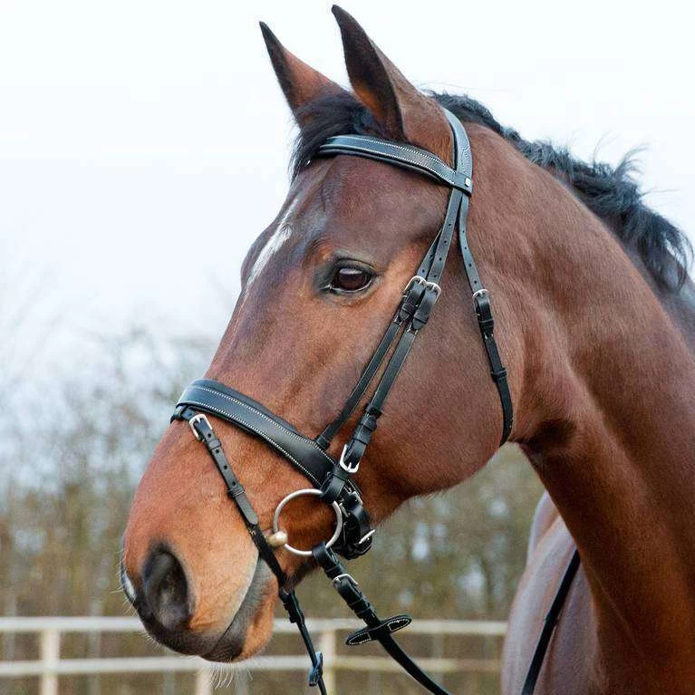 Horze Venice Bridle - Image 2