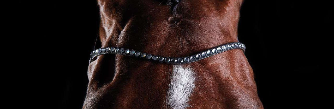 Collegiate Comfitec Crystal Bridle - Image 2