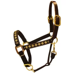 Intrepid International Leather Crown Diamond Halter With Padded Nose