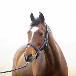 Horze Bradley Halter And Lead Set