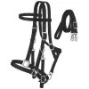 Tough 1 Nylon Halter/Bridle Combo With Reins