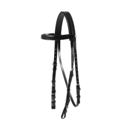 Zilco Exercise Bridle Head